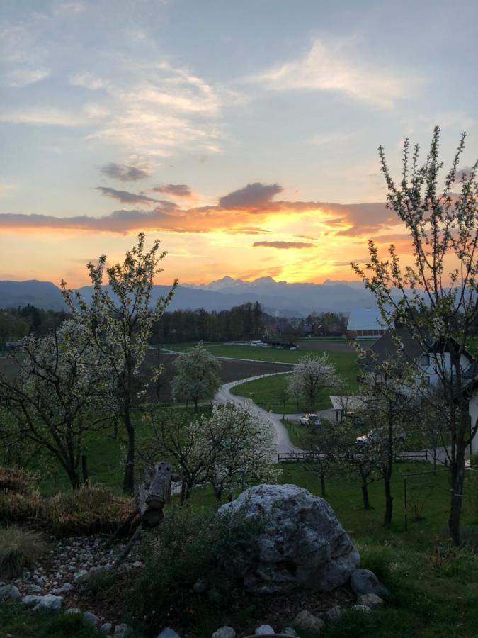 Apartma Romana Spodnji Otok 외부 사진